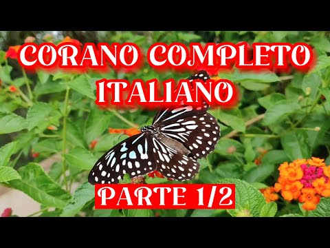 CORANO COMPLETO IN ITALIANO AUDIO PARTE 1/2