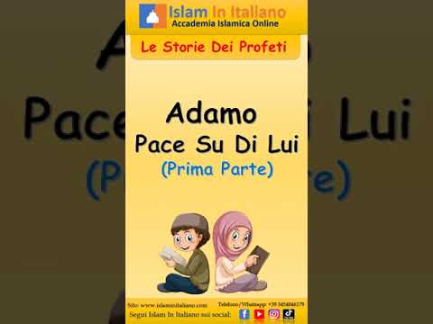 Quiz Islamici – I gradi della religione islamica – Islam Aqida