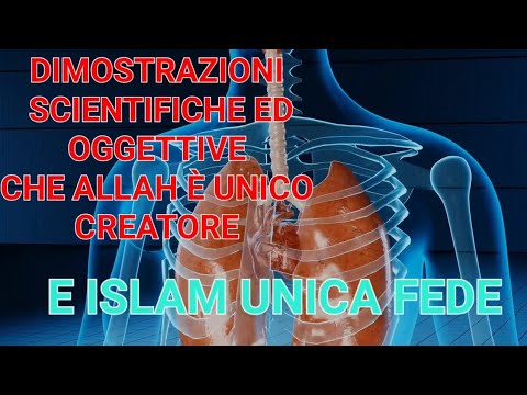 Prove scientifiche ed oggettive che Allah è  il Creatore dell’ universo